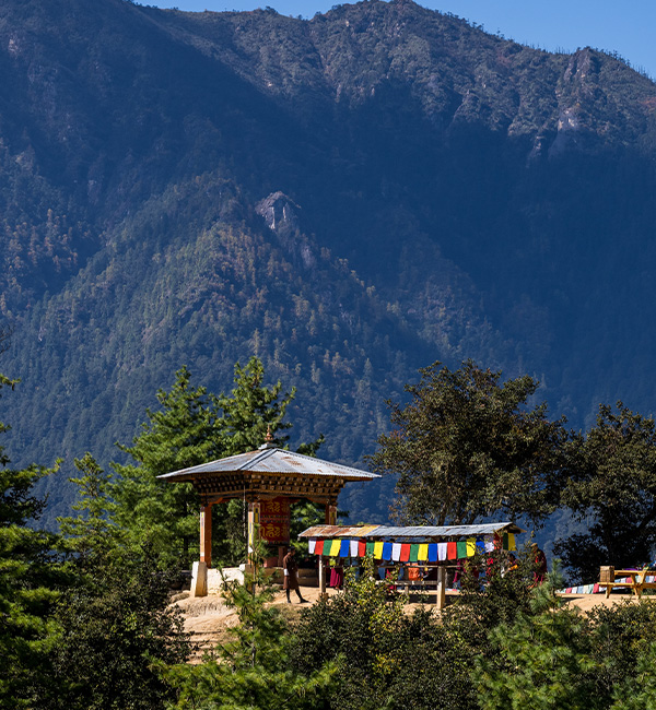  Paro